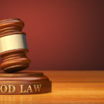 gavel and sound block with text food law 1