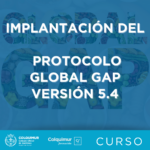 CAJA GLOBAL GAP