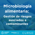 FOTO Microbiologia alimentaria